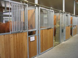 Stall- und Reitanlagen
